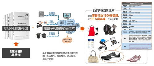 數衍科技CEO深度解讀 購物中心數字化建設的關鍵問題與數字技術服務破局之道